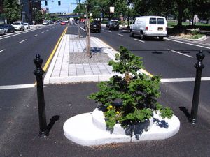 Mill Ends Park, Portland OR.  The smallest park in the world and home to the only leprechaun colony West of Ireland.